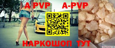стаф Кунгур