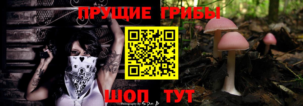 Ишимбай  Галлюциногенные грибы MAGIC MUSHROOMS  Вход с VPN 